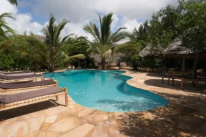 Demani Lodge Paje pool and tropical gardens